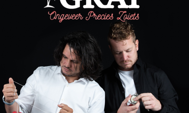 Humor: “ongeveer precies zoiets” …